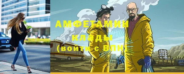 трава Инсар