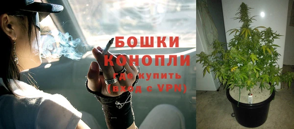 трава Инсар