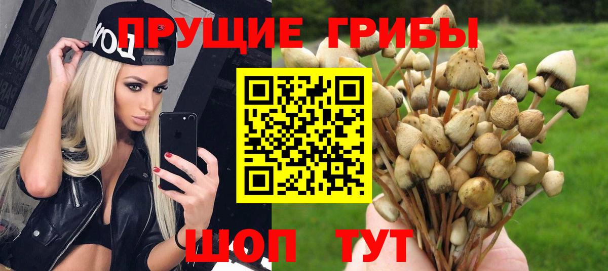 Псилоцибиновые грибы ЛСД  Дербент  даркнет сайт  Галлюциногенные грибы прущие грибы 