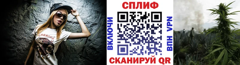 Каннабис план  Дербент 